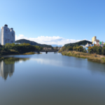 Discover Daejeon: 대한민국 최고의 관광 명소